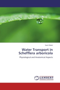 Water Transport in Schefflera Arboricola