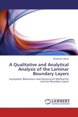 Qualitative and Analytical Analysis of the Laminar Boundary Layers