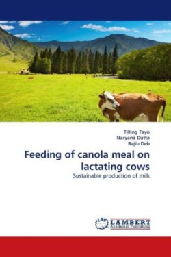 Feeding of canola meal on lactating cows