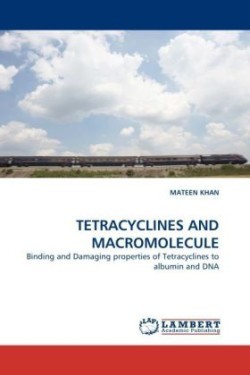 Tetracyclines and Macromolecule