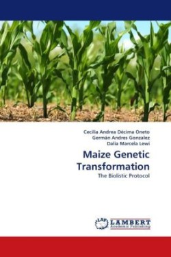 Maize Genetic Transformation