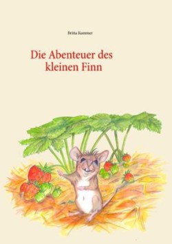 Abenteuer des kleinen Finn