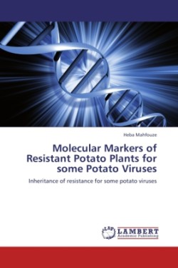 Molecular Markers of Resistant Potato Plants for some Potato Viruses