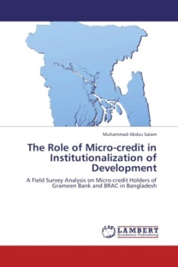 Role of Micro-credit in Institutionalization of Development