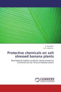 Protective chemicals on salt stressed banana plants