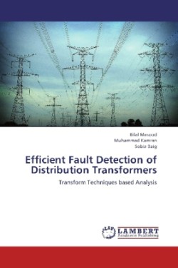 Efficient Fault Detection of Distribution Transformers