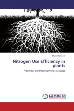 Nitrogen Use Efficiency in Plants