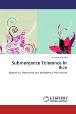 Submergence Tolerance in Rice