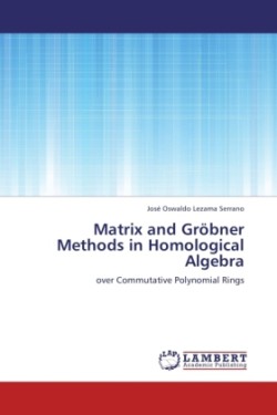 Matrix and Grobner Methods in Homological Algebra