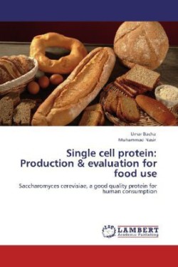 Single Cell Protein