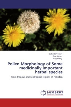 Pollen Morphology of Some medicinally important herbal species