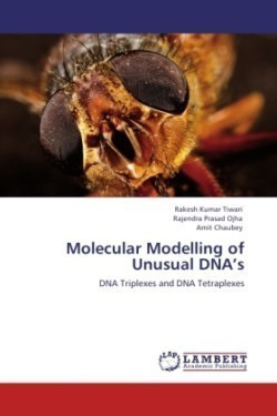 Molecular Modelling of Unusual DNA's