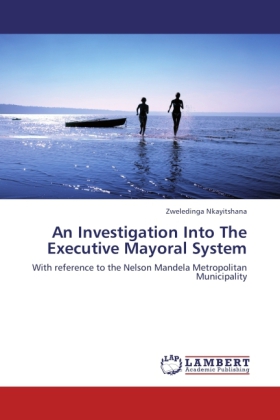 Investigation Into the Executive Mayoral System