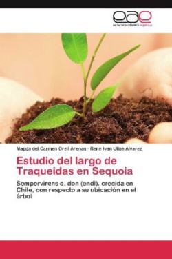 Estudio del largo de Traqueidas en Sequoia