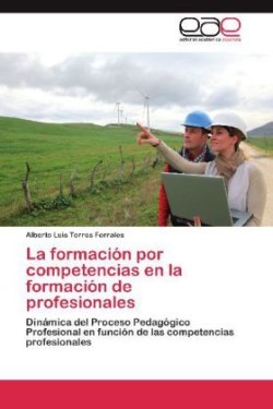 formación por competencias en la formación de profesionales