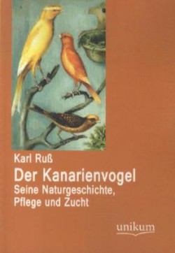 Kanarienvogel