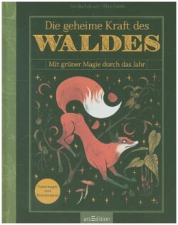 Die geheime Kraft des Waldes