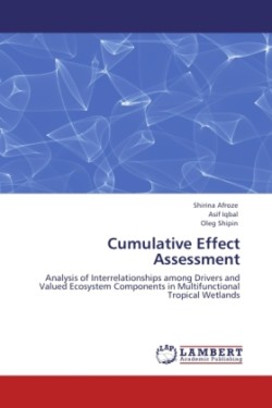 Cumulative Effect Assessment