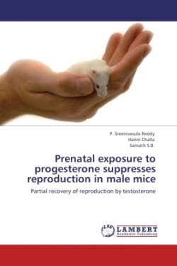 Prenatal exposure to progesterone suppresses reproduction in male mice