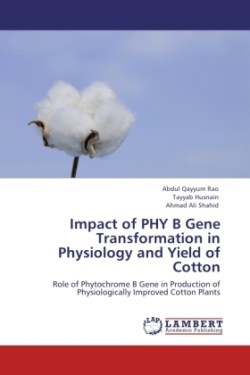 Impact of Phy B Gene Transformation in Physiology and Yield of Cotton