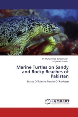 Marine Turtles on Sandy and Rocky Beaches of Pakistan