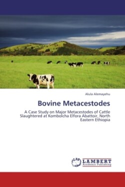 Bovine Metacestodes