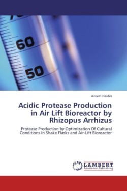 Acidic Protease Production in Air Lift Bioreactor by Rhizopus Arrhizus