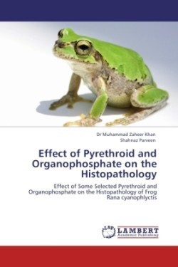 Effect of Pyrethroid and Organophosphate on the Histopathology