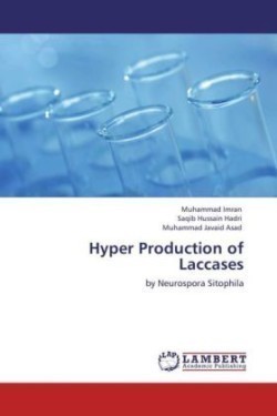 Hyper Production of Laccases