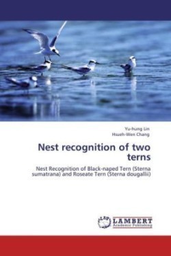 Nest Recognition of Two Terns