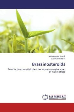 Brassinosteroids