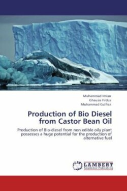 Production of Bio Diesel from Castor Bean Oil