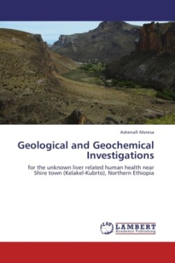 Geological and Geochemical Investigations