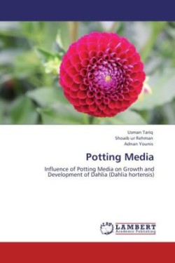 Potting Media