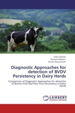 Diagnostic Approaches for Detection of Bvdv Persistency in Dairy Herds