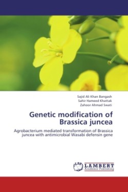 Genetic modification of Brassica juncea