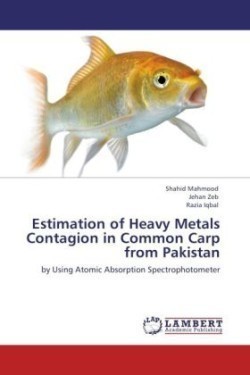 Estimation of Heavy Metals Contagion in Common Carp from Pakistan