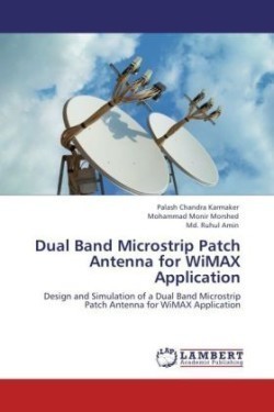 Dual Band Microstrip Patch Antenna for WiMAX Application