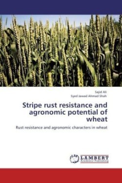 Stripe rust resistance and agronomic potential of wheat