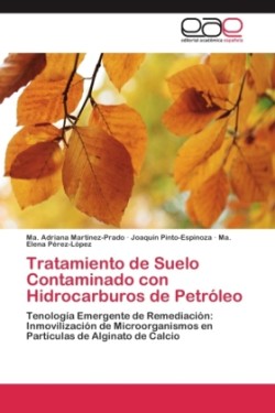 Tratamiento de Suelo Contaminado con Hidrocarburos de Petróleo