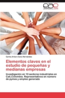 Elementos claves en el estudio de pequeñas y medianas empresas