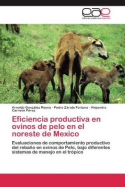 Eficiencia productiva en ovinos de pelo en el noreste de Mexico