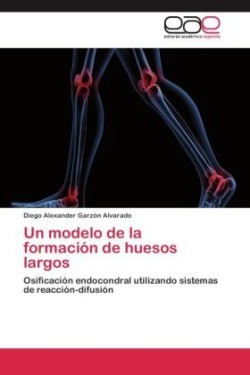 modelo de la formación de huesos largos