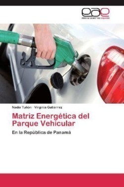 Matriz Energetica del Parque Vehicular