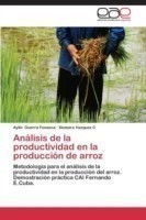 Analisis de La Productividad En La Produccion de Arroz