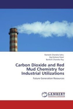 Carbon Dioxide and Red Mud Chemistry for Industrial Utilizations