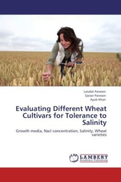 Evaluating Different Wheat Cultivars for Tolerance to Salinity