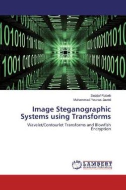 Image Steganographic Systems using Transforms