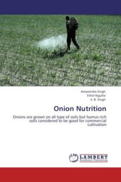 Onion Nutrition