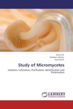 Study of Micromycetes